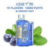 IGET DISPOSABLE VAPE