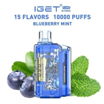 IGET DISPOSABLE VAPE